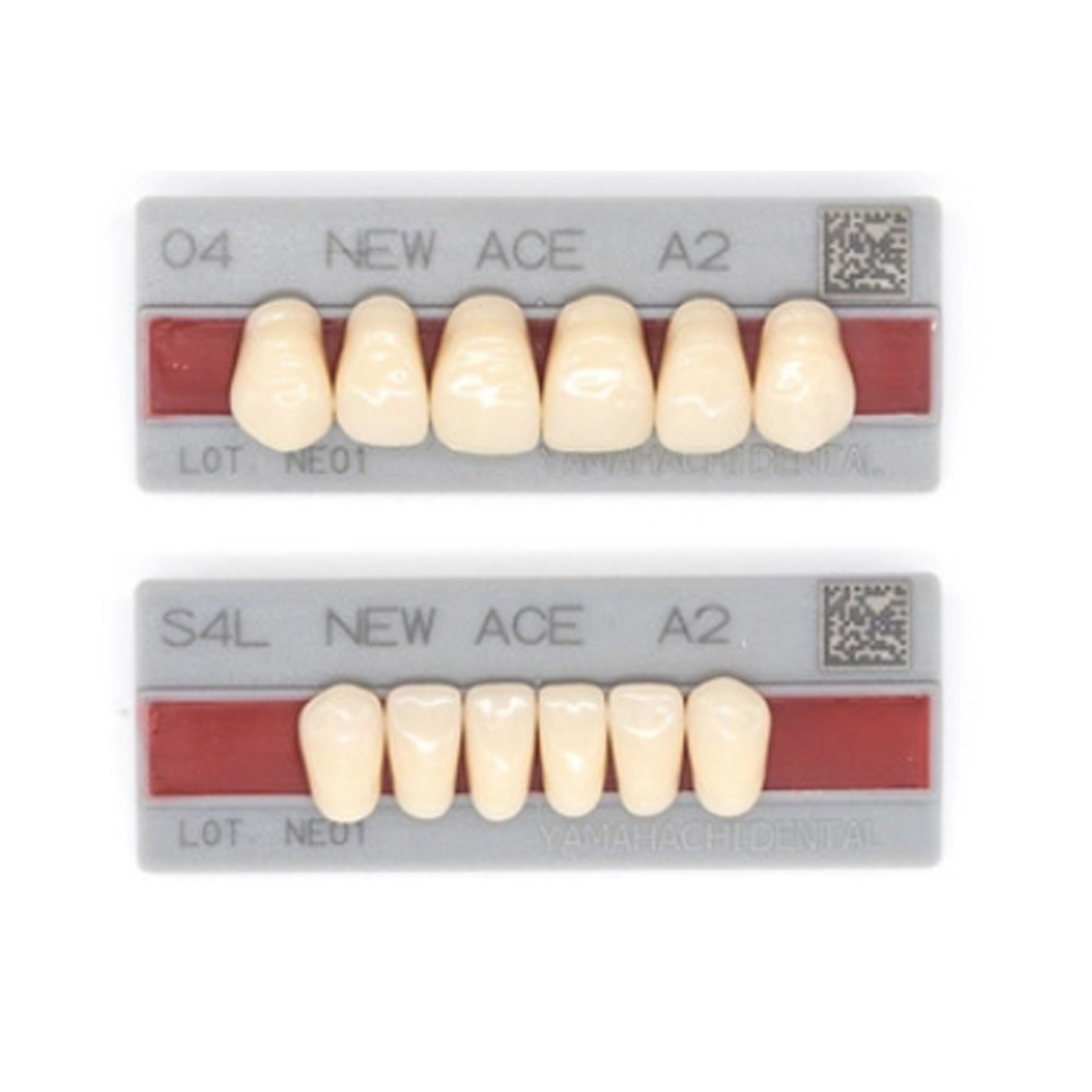 New ACE Teeth Combination Set (Set of 4) A2 Shade
